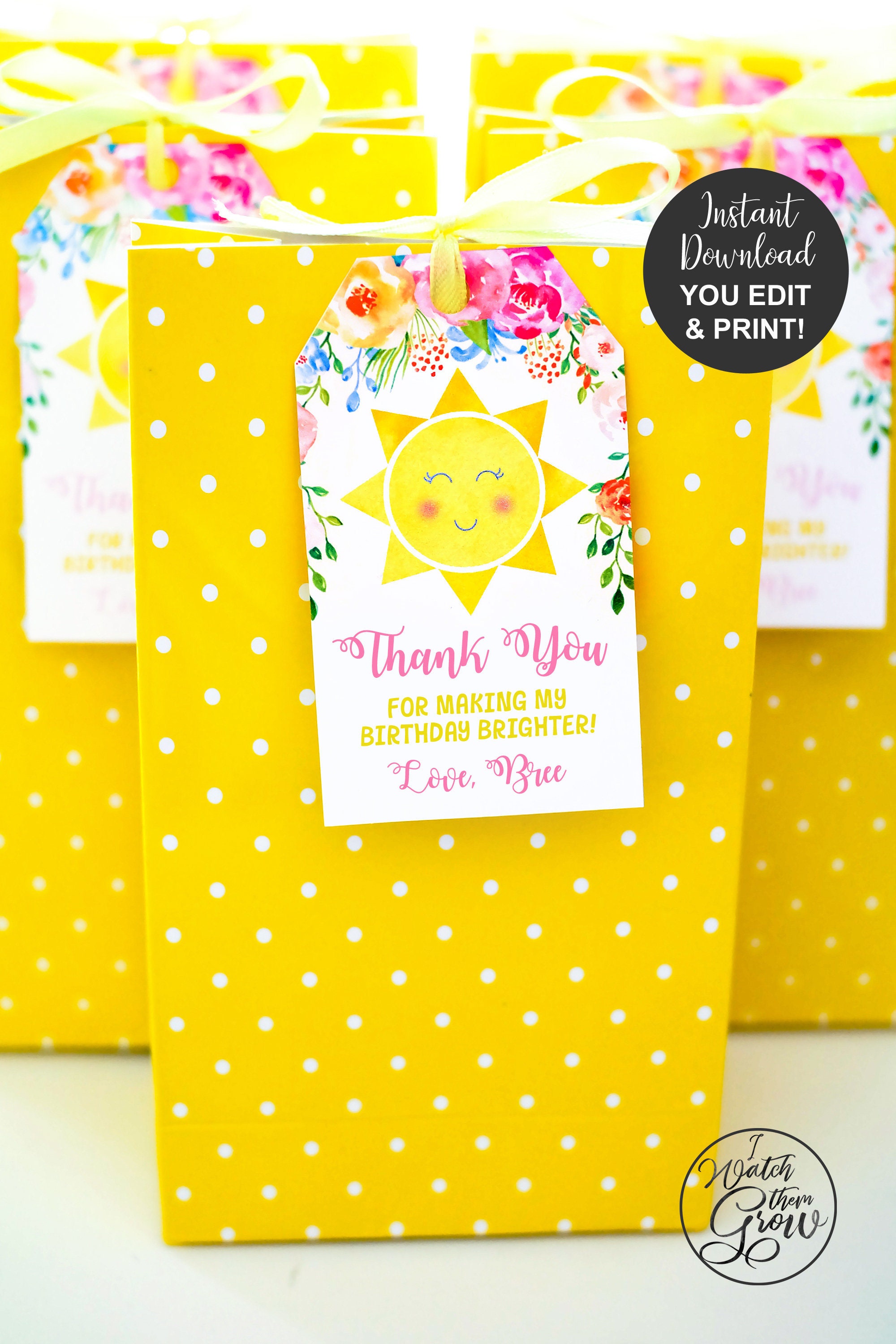 Sunshine Party Favor Tags, Editable and Printable Sunshine Party Loot Bag  Labels, Goodie Bag Tags, Sunshine Party Gift Tags, Thank You Tags 