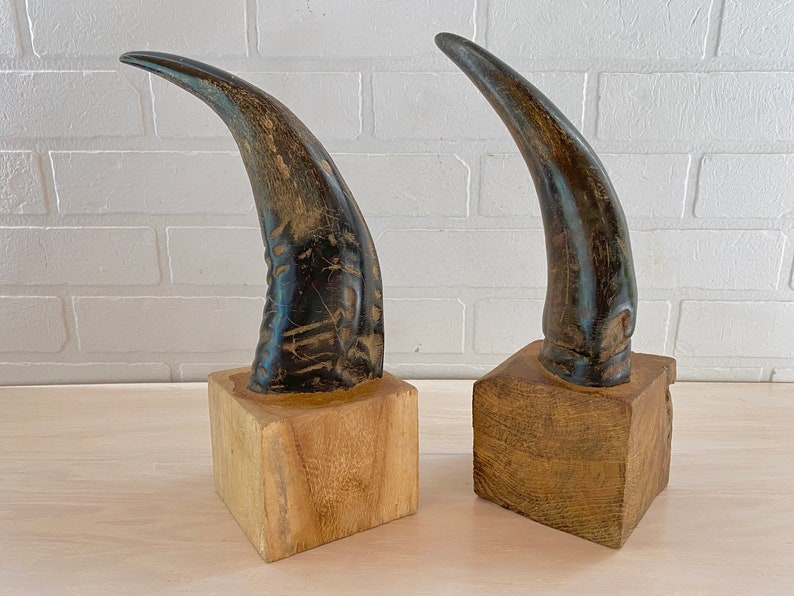 BUFFALO HORN Bookends Set/2 Natural Horns Mounted on Solid Etsy Ireland