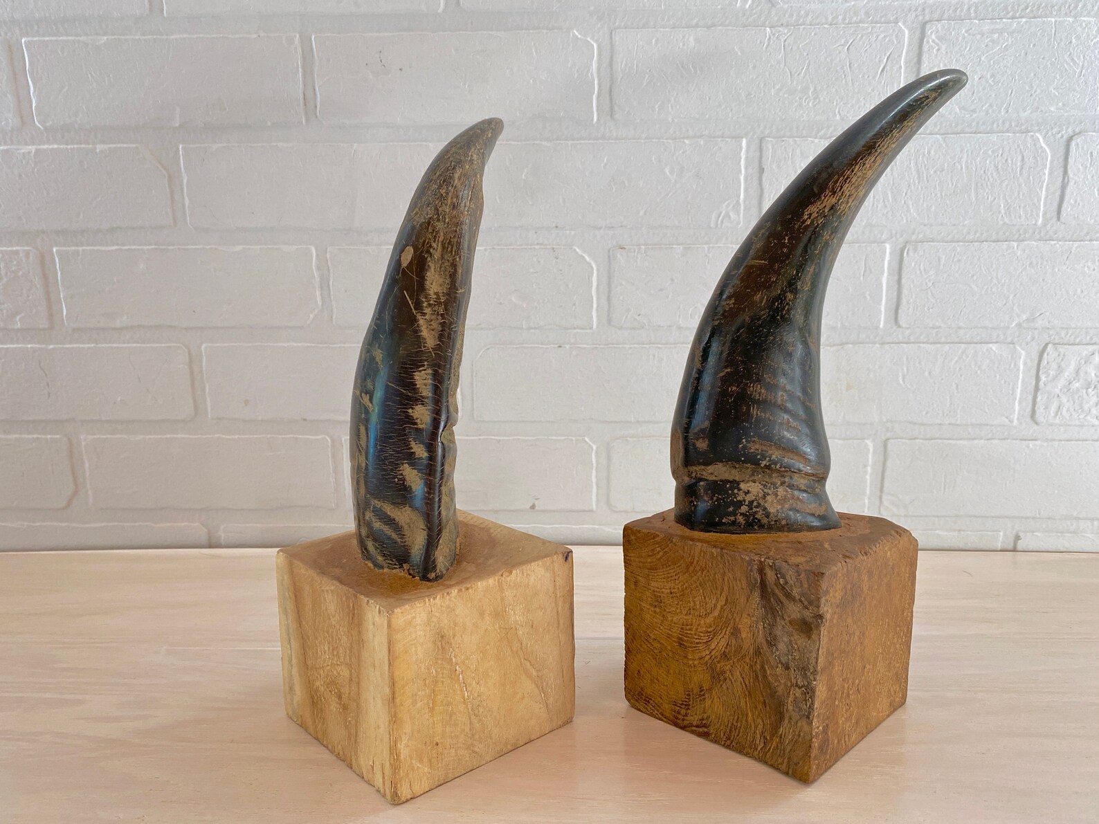 BUFFALO HORN Bookends Set/2 Natural Horns Mounted on Solid Etsy Ireland