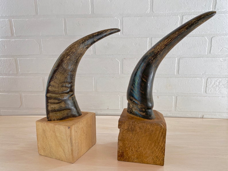 BUFFALO HORN Bookends Set/2 Natural Horns Mounted on Solid Etsy Ireland