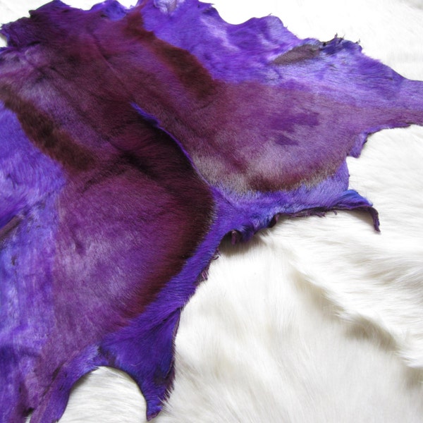 Top quality XL springbok antelope hide - dyed African violet
