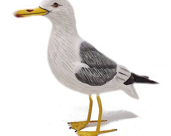 Wooden Seagull - Hand Carved & Painted