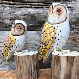 Wooden Owl on Log - Hand Carved & Painted