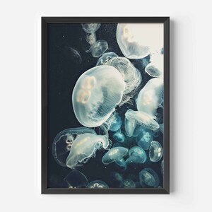 Jellyfish digital download image 3