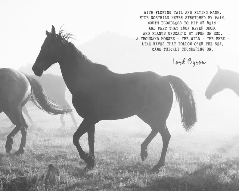 Lord Byron poem, Horse poem, instant download, Gift for horse lovers, class...
