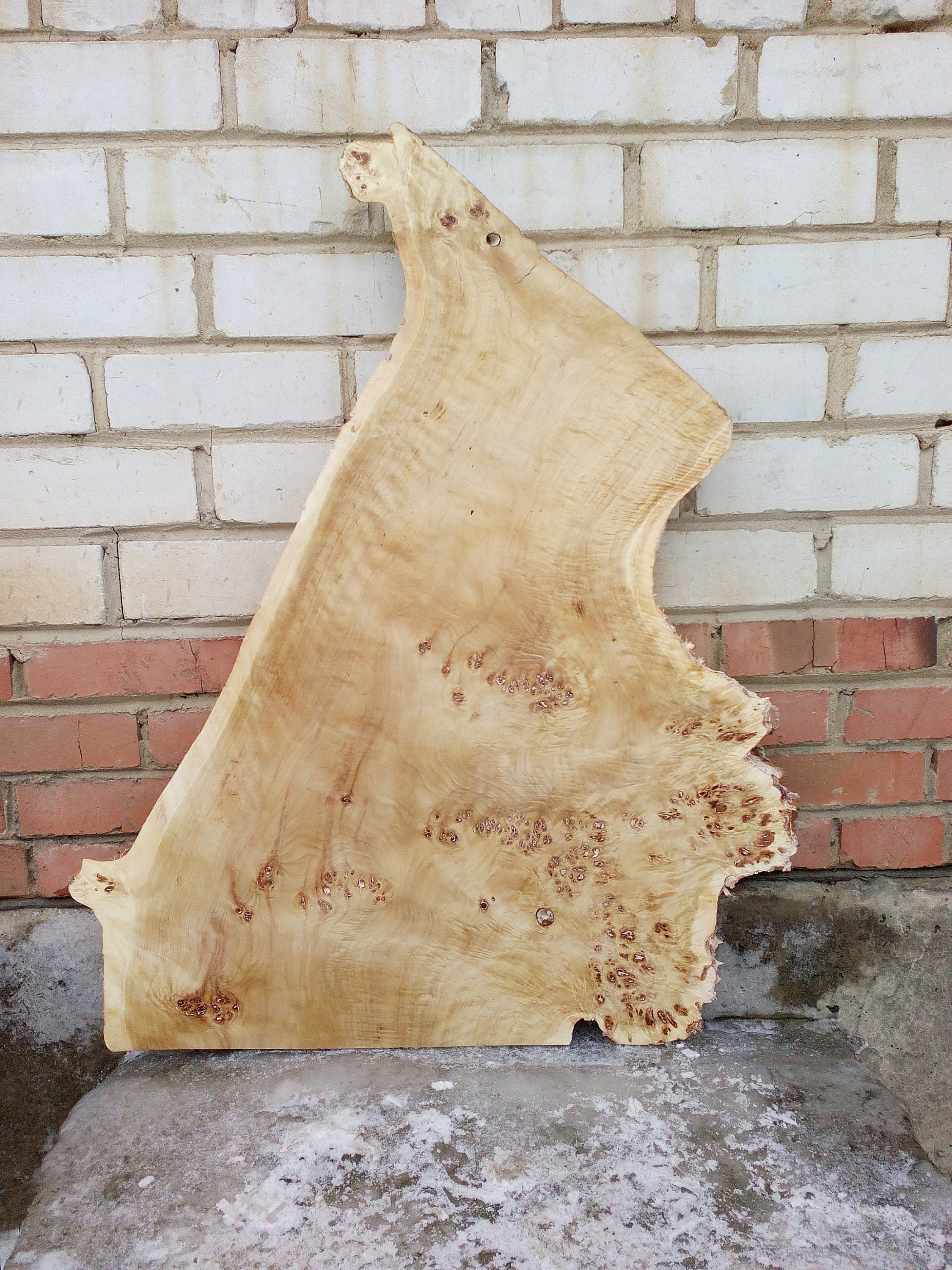 Burl slab mountain poplar mappa burl wood slab 38x27x2 | Etsy