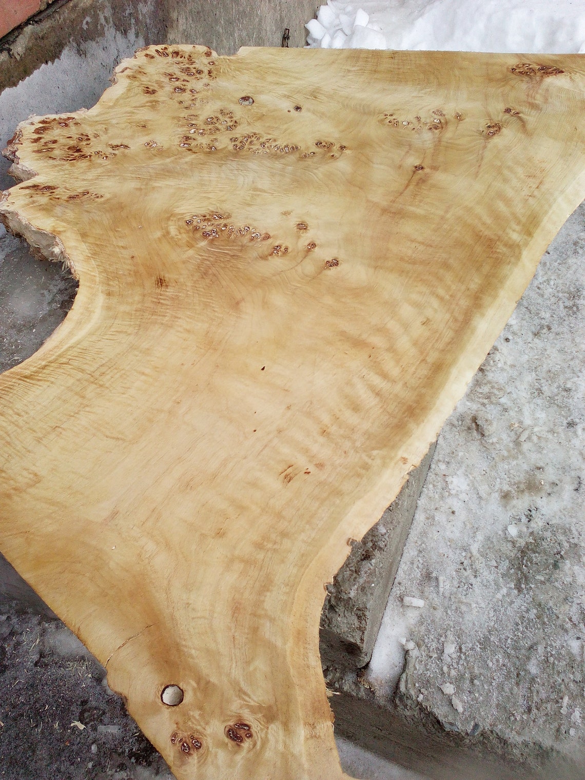 Burl slab mountain poplar mappa burl wood slab 38x27x2 | Etsy