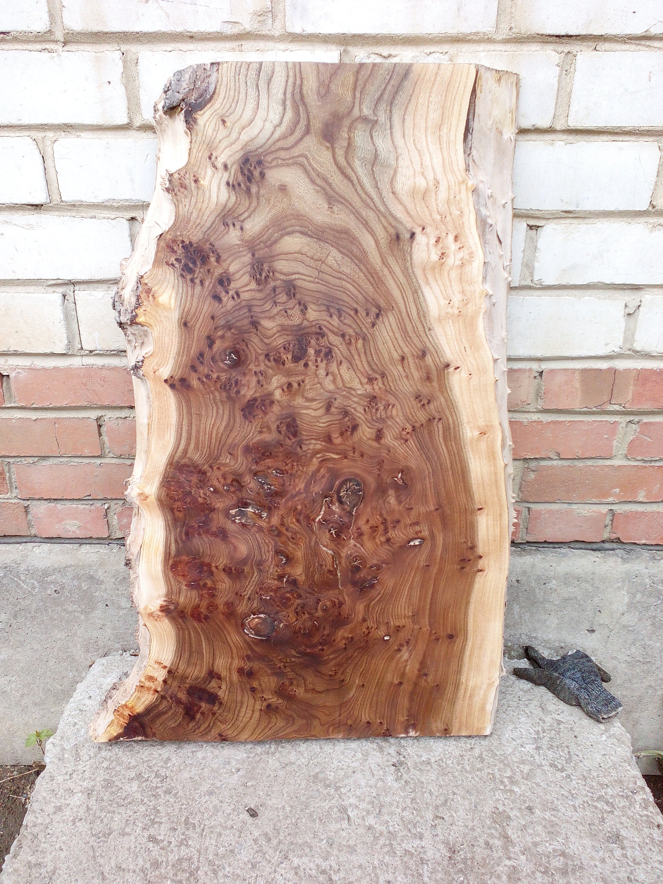 Burl slabelm burl wood slab 35x24x25 Etsy