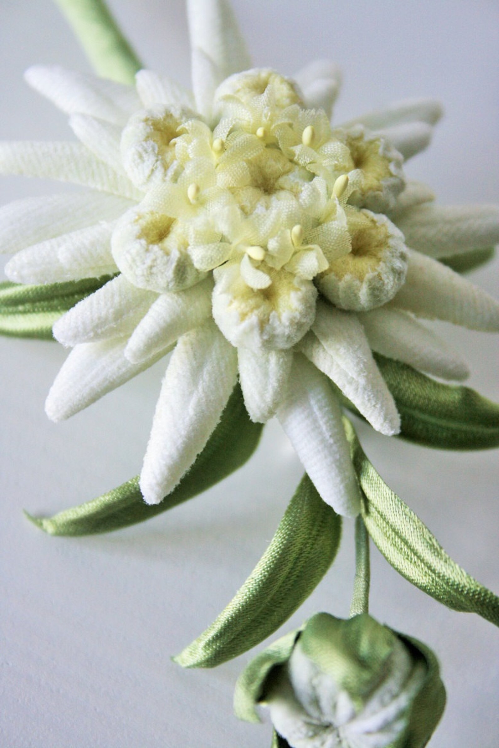 Velvet flowers Edelweiss jewelry edelweiss flower jewelry Etsy