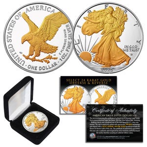 2025 American .999 Silver Eagle 1 Oz Coin SELECT 24K Gold Gilded 2 Sided with Box