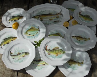 Douze « porcelaine de Limoges » Français poisson plaques et poisson correspondant à un plat de service. Six modèles différents poissons d’eau douce. Décagone en forme de bords
