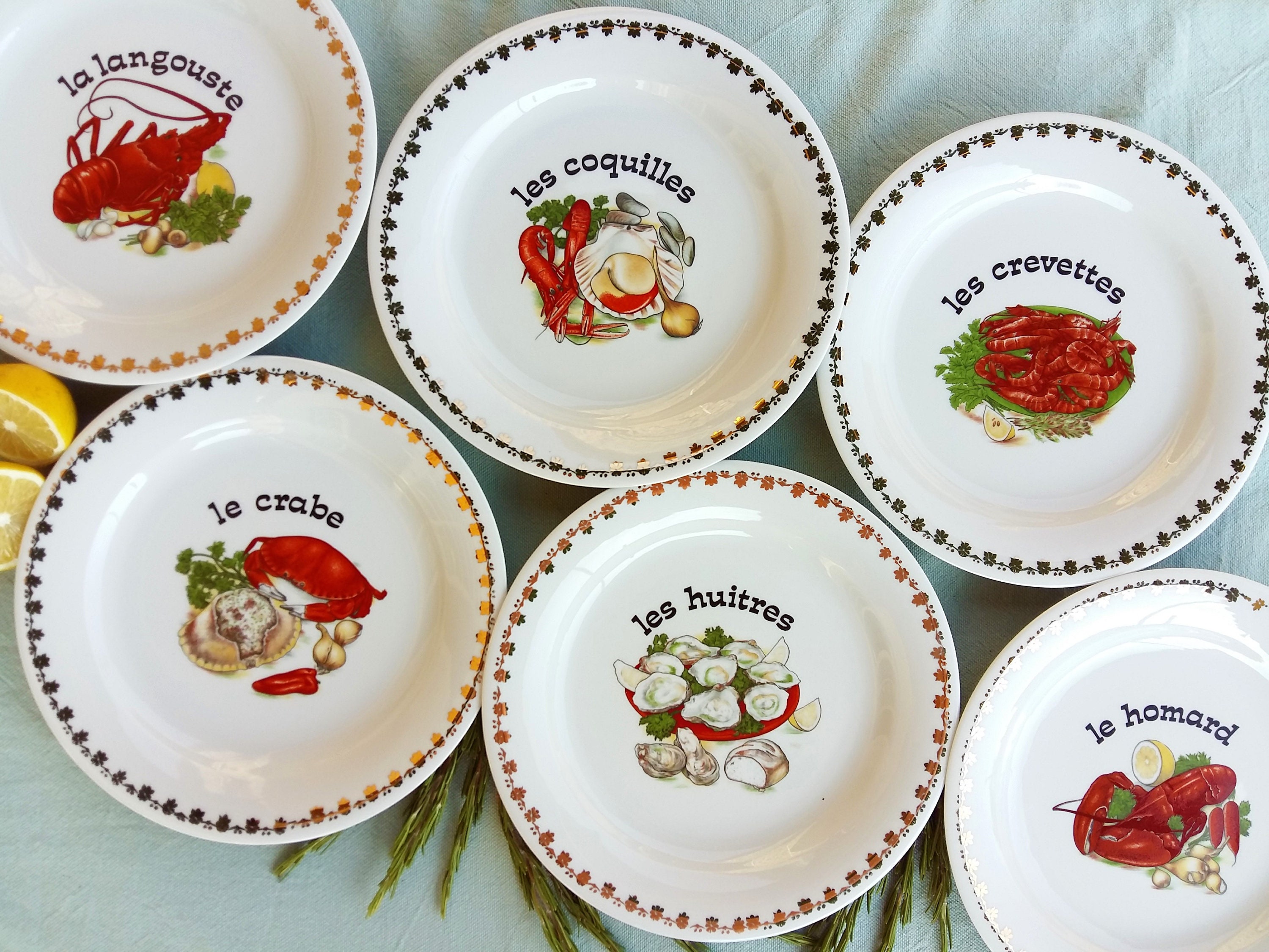 Six Assiettes de Fruits Mer en Porcelaine Limoges Français. Assiette d'huîtres. Ensemble d'assiettes