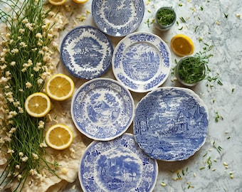 Mismatched Blue and White Transferware Plates: Vintage China Set of 6