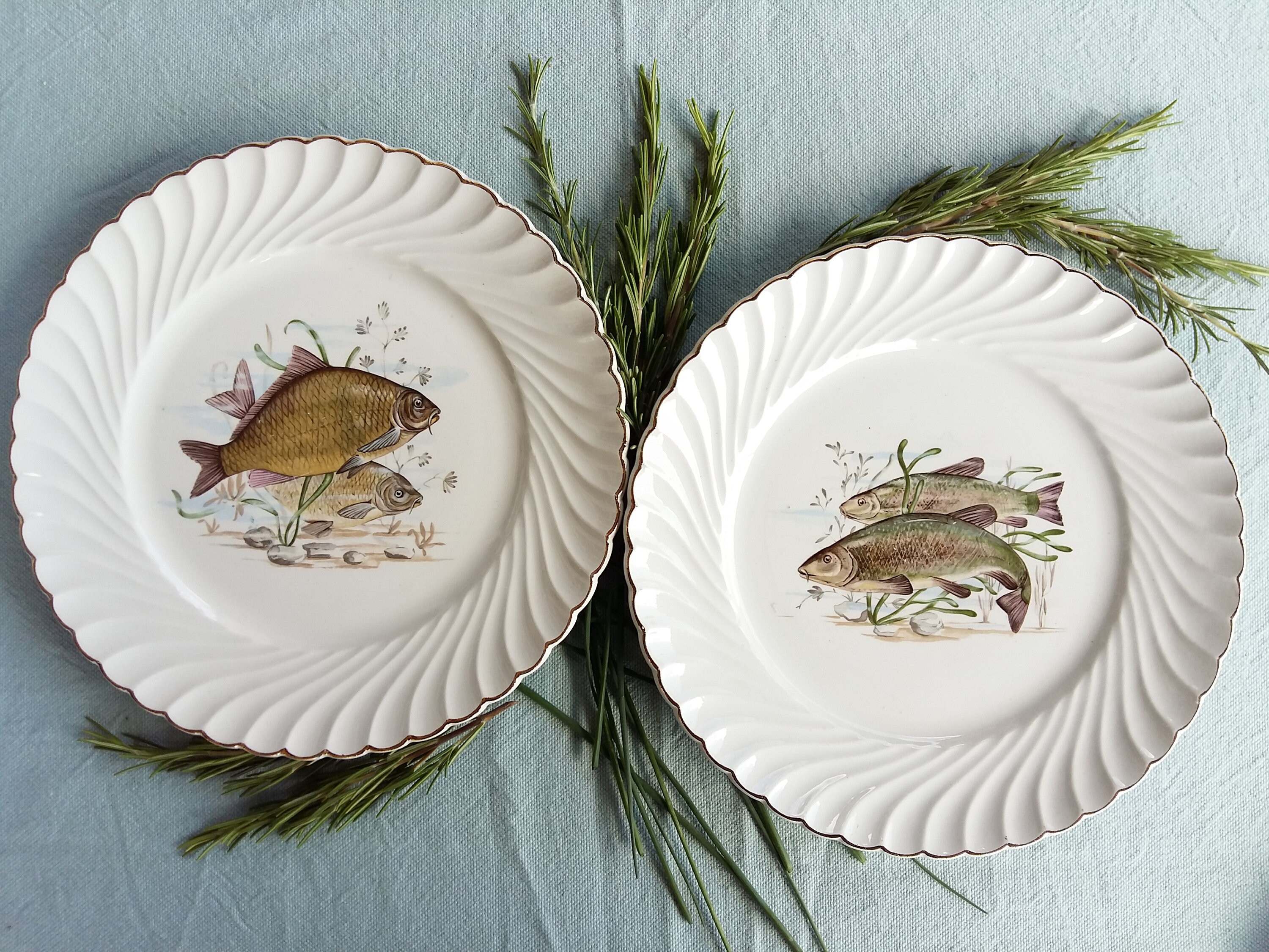 10 Mix and Match Dinner Plates. Vintage Beautiful Porcelain/ Etsy