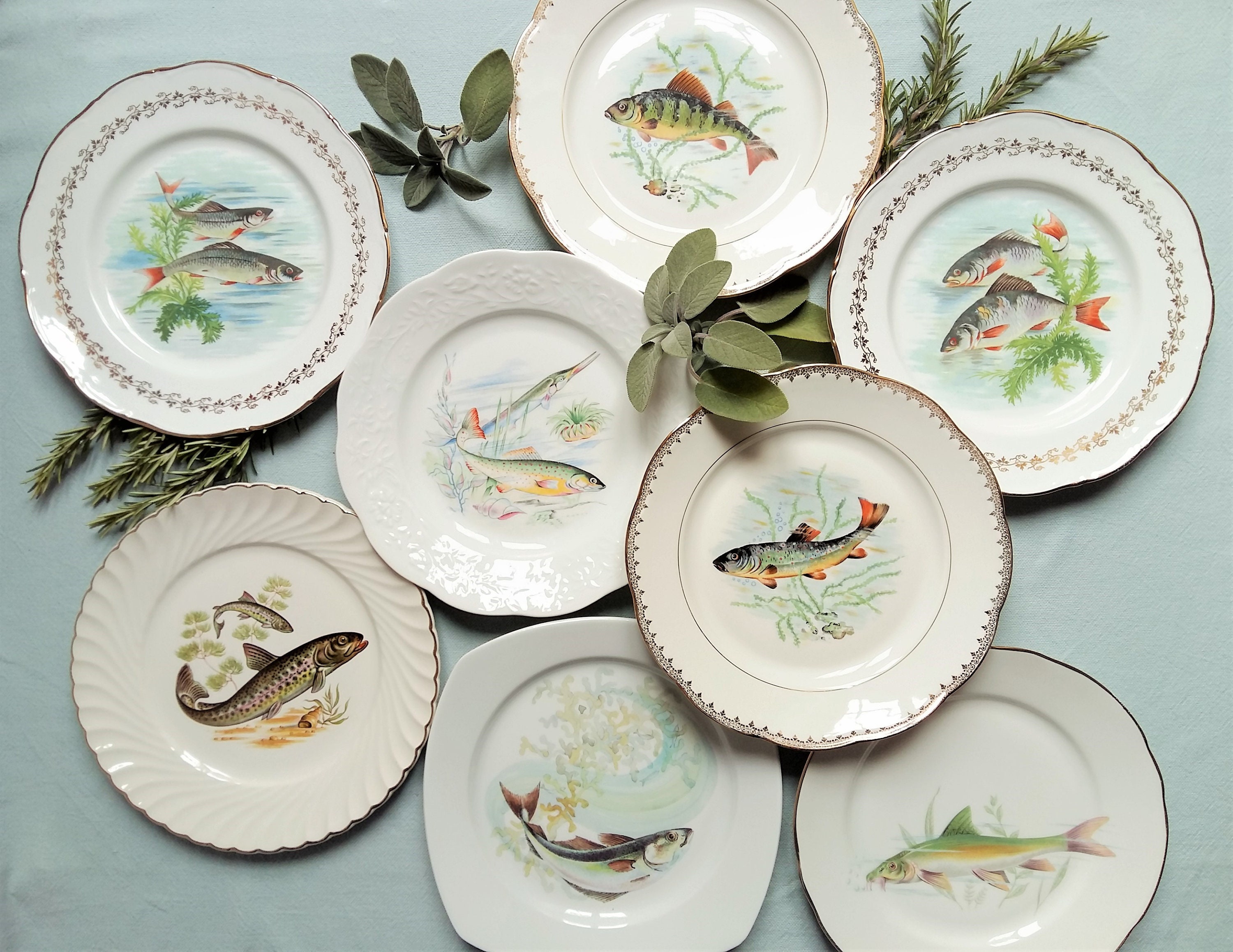 8 Mélanger et Assortir Les Assiettes de Poisson. Vintage, Français, Porcelaine/Fine, Vaisselle Shabb