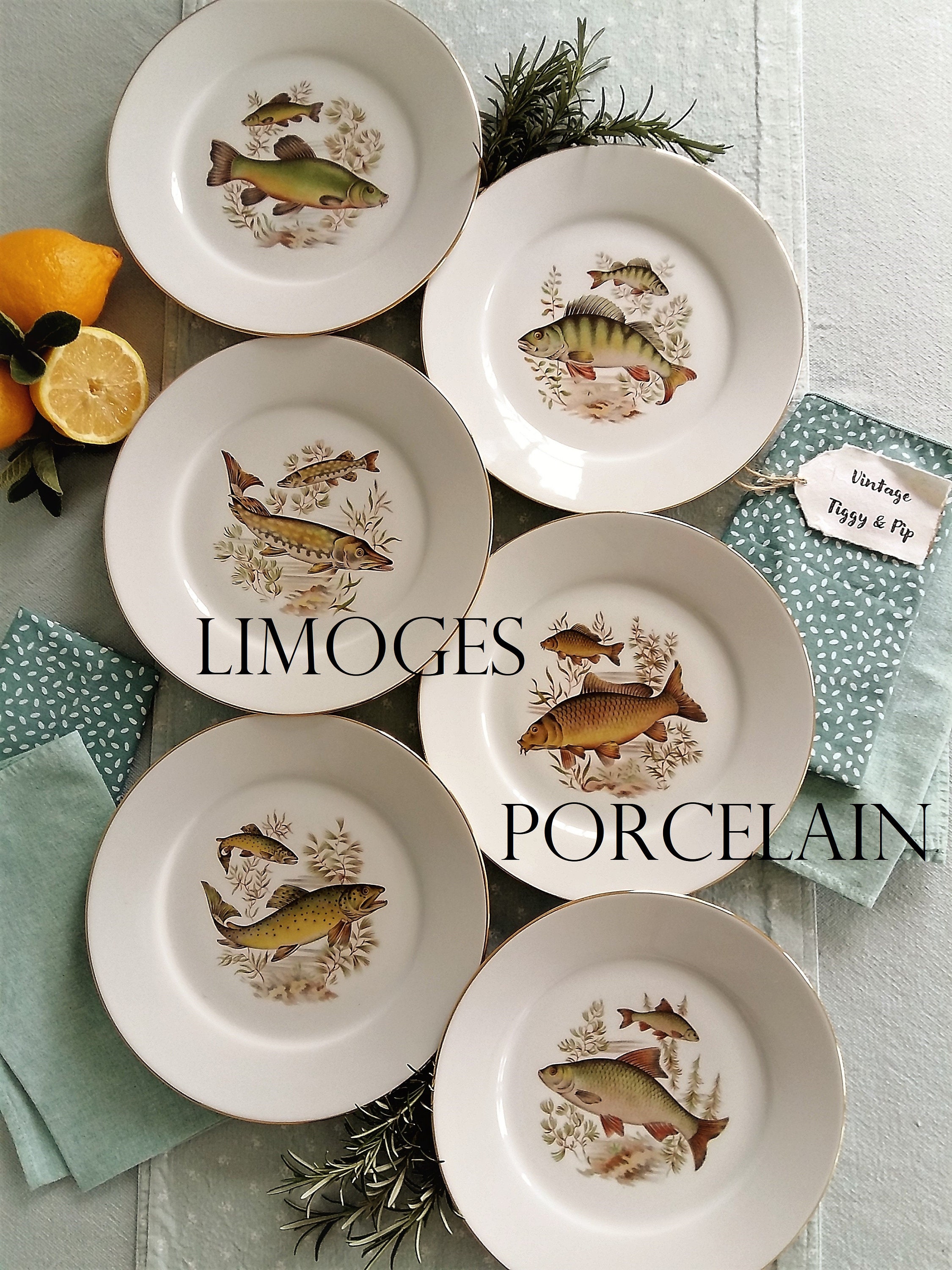 Set of Six Limoges Porcelain Fish Plates. Vintage French Fish Etsy