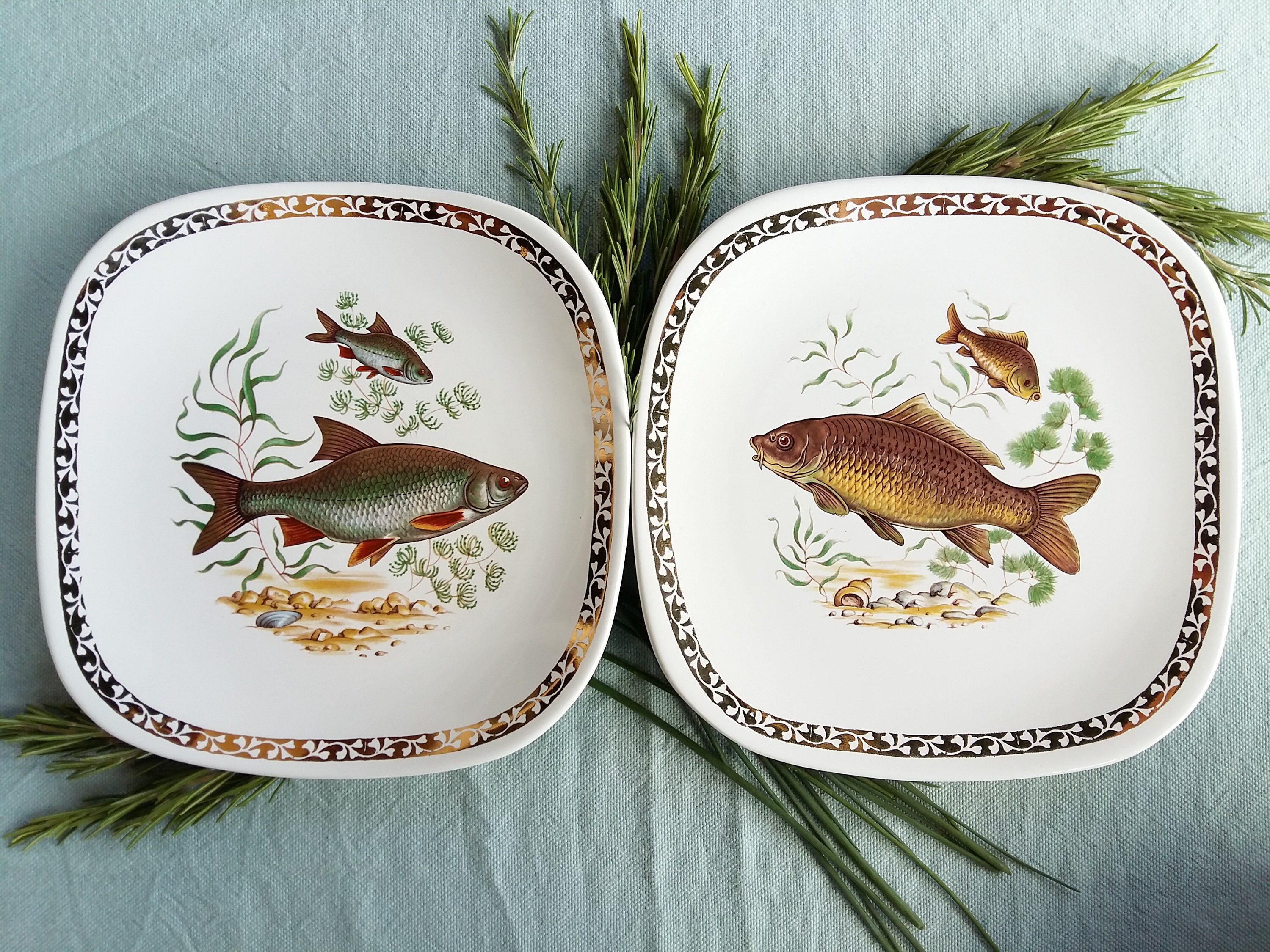 10 Mix and Match Dinner Plates. Vintage Beautiful Porcelain/ Etsy