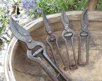 Four Vintage French Vine Pruning Tools. Genuine Vintners Pruning Shears. Authentic Vintage French Secateurs with Antique Patina.