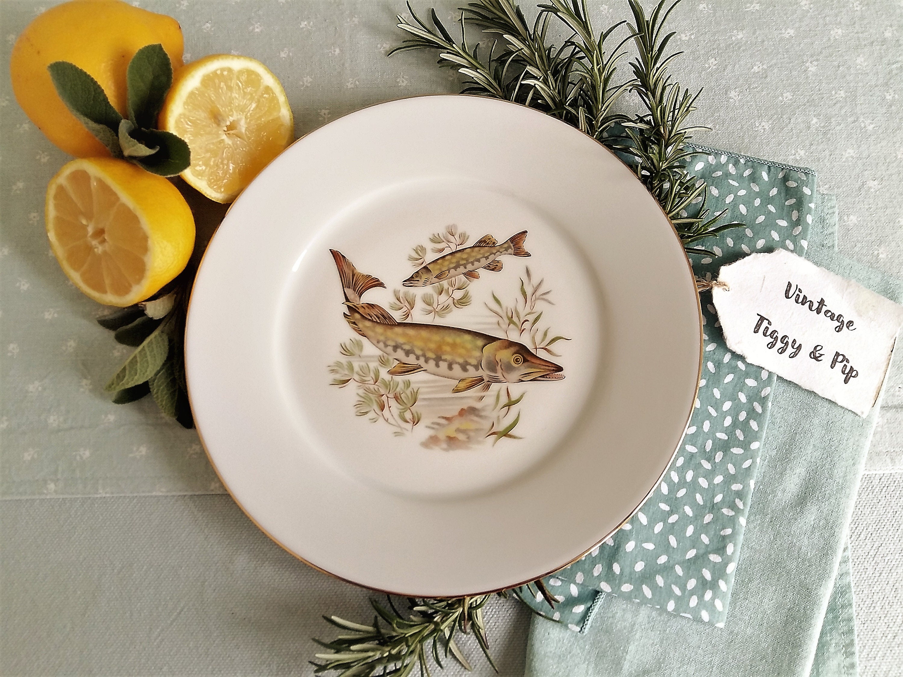 Set of Six Limoges Porcelain Fish Plates. Vintage French Fish Etsy