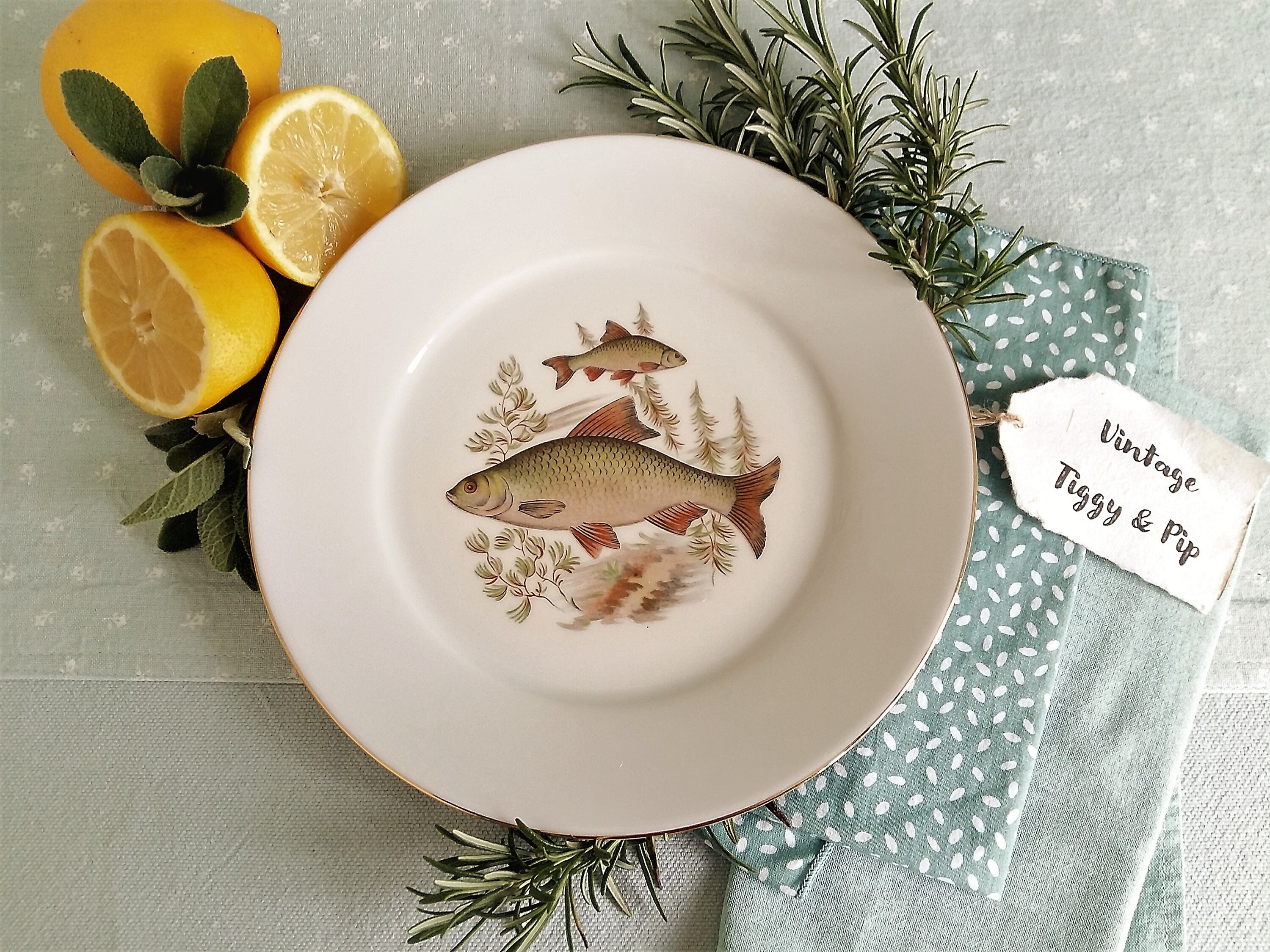 Set of Six Limoges Porcelain Fish Plates. Vintage French Fish Etsy