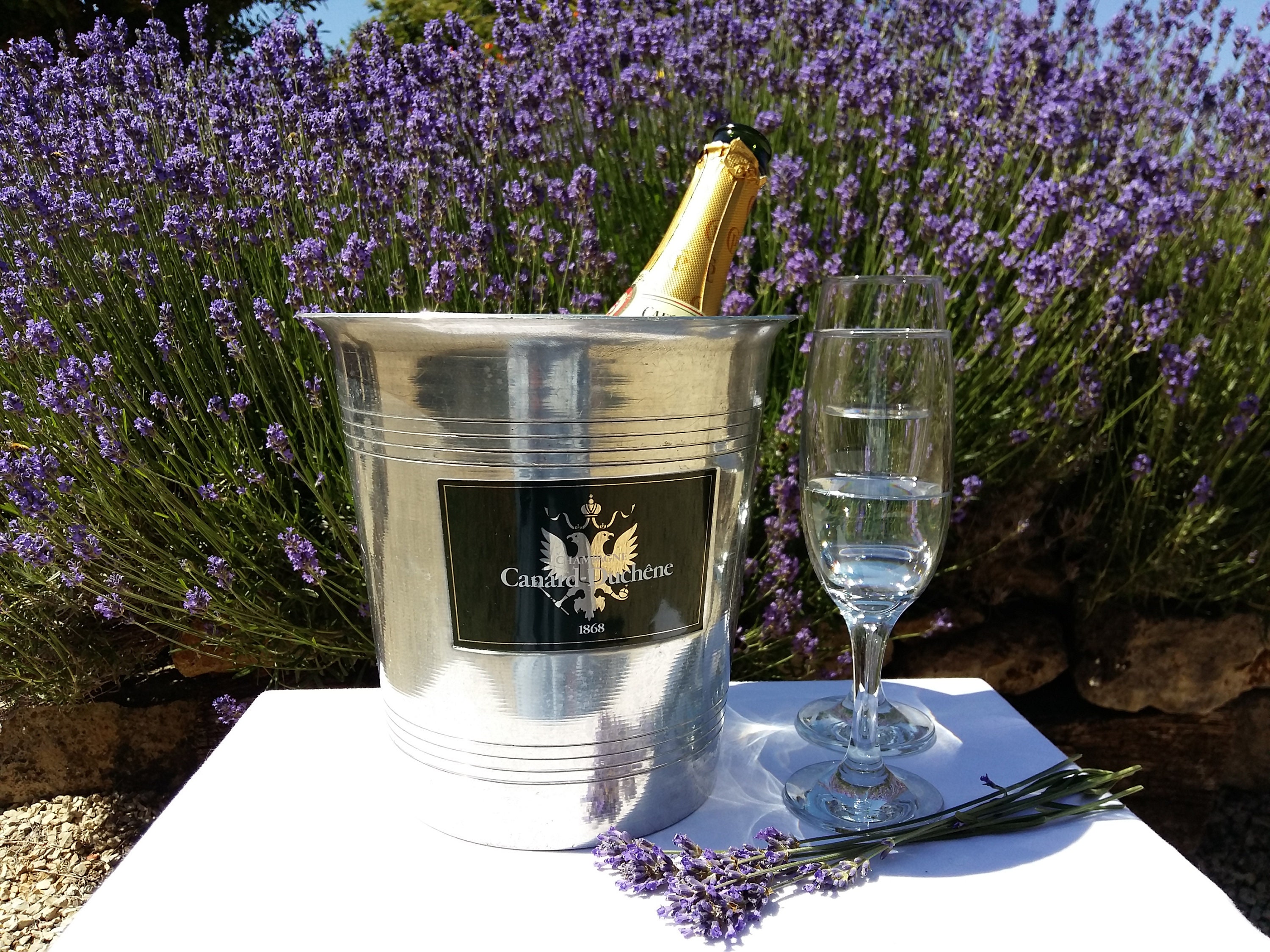 Champagne Canard-Duchêne Millésimé Français Seau à Glace. Refroidisseur de Vin. Seau Glace Champagne