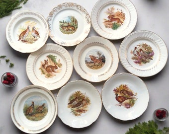 9 assiettes de chasse Mix & Match. Assiettes de jeu dépareillées. Dessins de lièvre, cerf, faisan, perdrix et bécassine. Vaisselle de jeu.