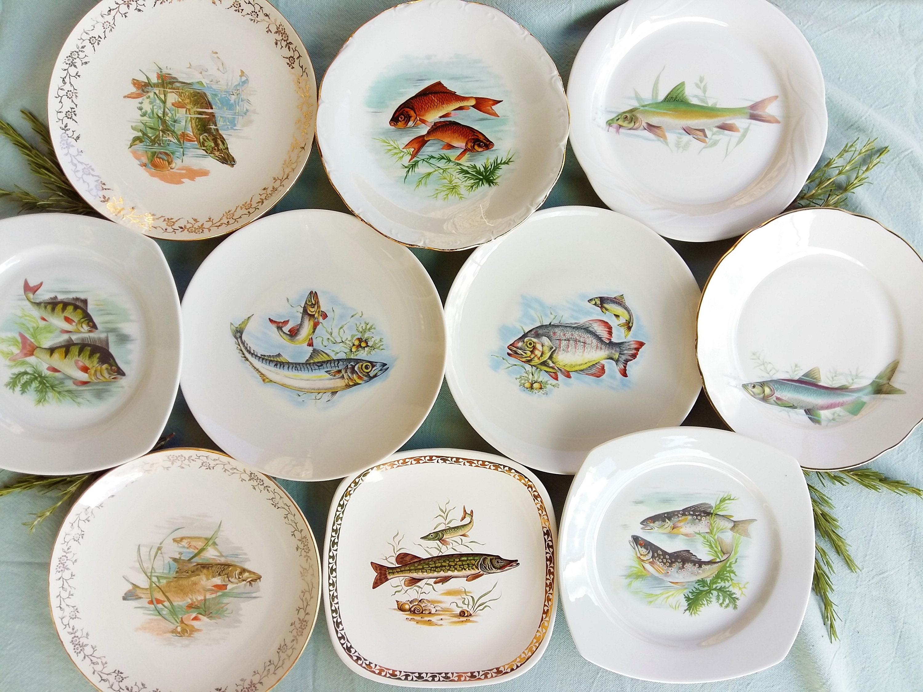 10 Assiettes De Poisson