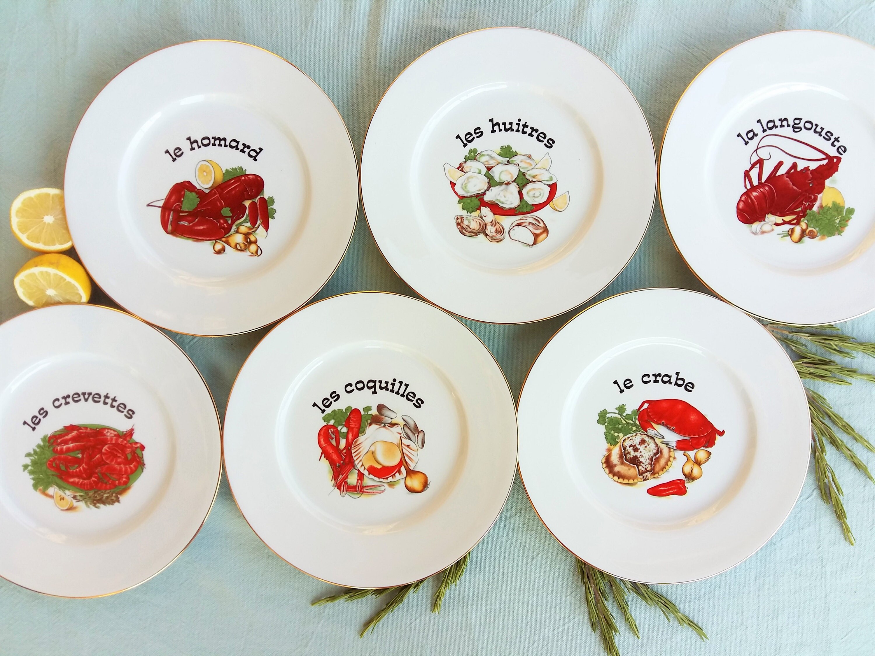 Six Assiettes de Fruits Mer en Porcelaine Limoges Français. Assiette d'huîtres. Ensemble d'assiettes