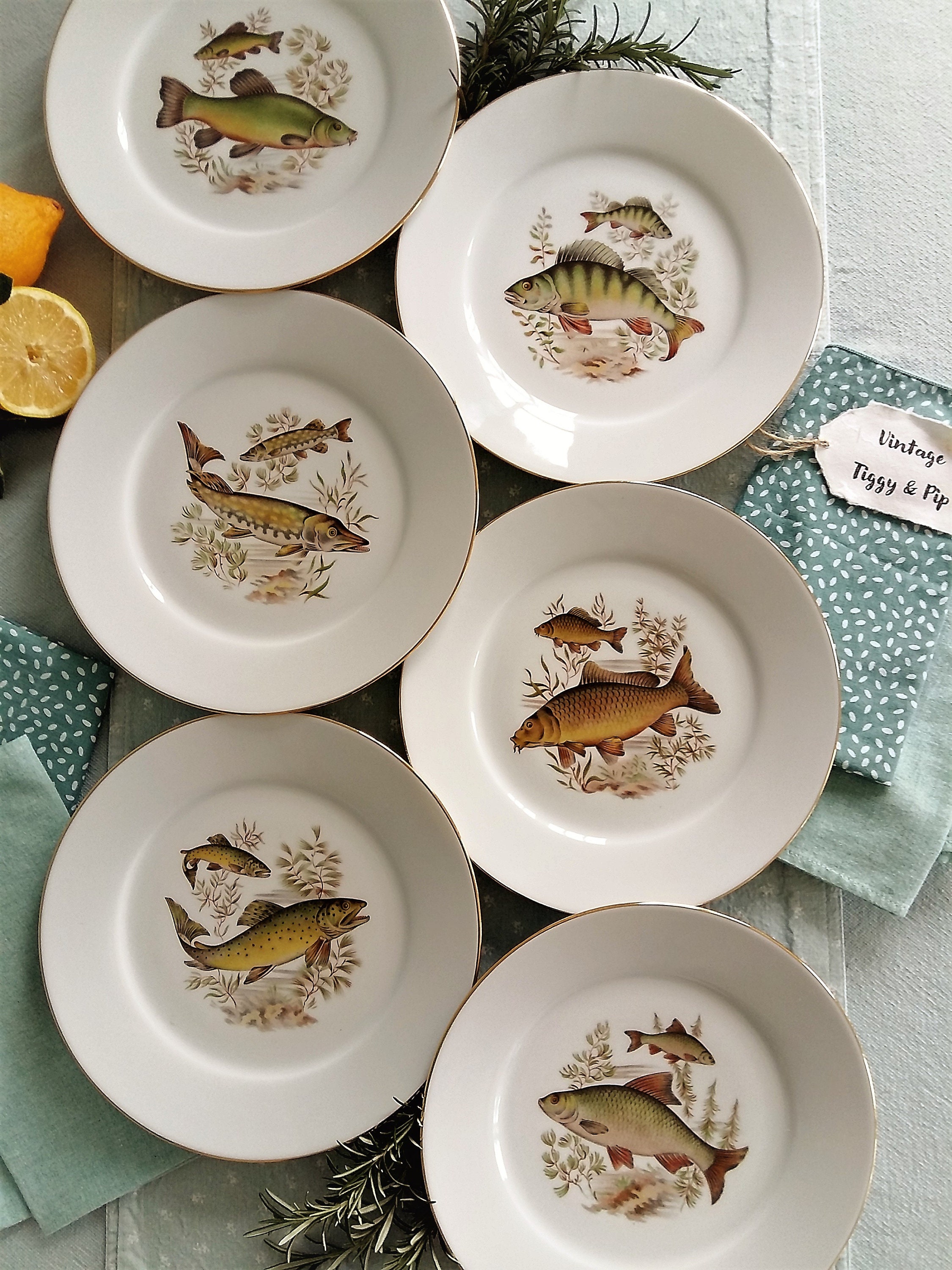 Set of Six Limoges Porcelain Fish Plates. Vintage French Fish Etsy