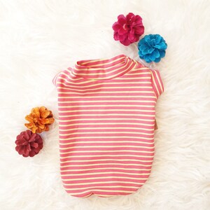 Könnte beinhalten: Rosa-gelb gestreiftes Haustier-Shirt mit Rollkragen. Das Shirt ist von bunten dekorativen Blumen auf einer weißen, flauschigen Oberfläche umgeben. Das Shirt ist für einen kleinen Hund oder eine Katze konzipiert.
