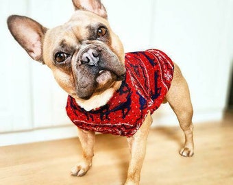 PETiRO "Not so Ugly" Weihnachten Hund / Katze Pullover Cardigan. Unisex Urlaub Rentier Hund & Katzenpullover /Cardigan. Geschlechtsneutrales Haustier Tshirt.