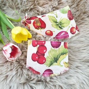 LIMITED EDITION!! | PETiRO FRUITY | Spring - Summer Dog | Cat  Fringed Bandana - Snap on Pet neckerchief  - Pet gift ideas