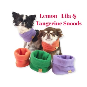 May include: Two small dogs wearing colorful fleece neck warmers. The neck warmers are in shades of orange, green, and purple. The text "Lemon - Lila & Tangerine Snoods" is displayed above the dogs.