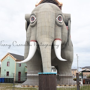 Lucy the Elephant