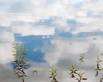 Reflection of Summer 20x30 Photograph with Wood Edge