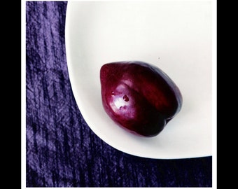 Plum 5x5 Photograph