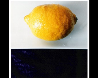 Lemon 5x5 Photograph