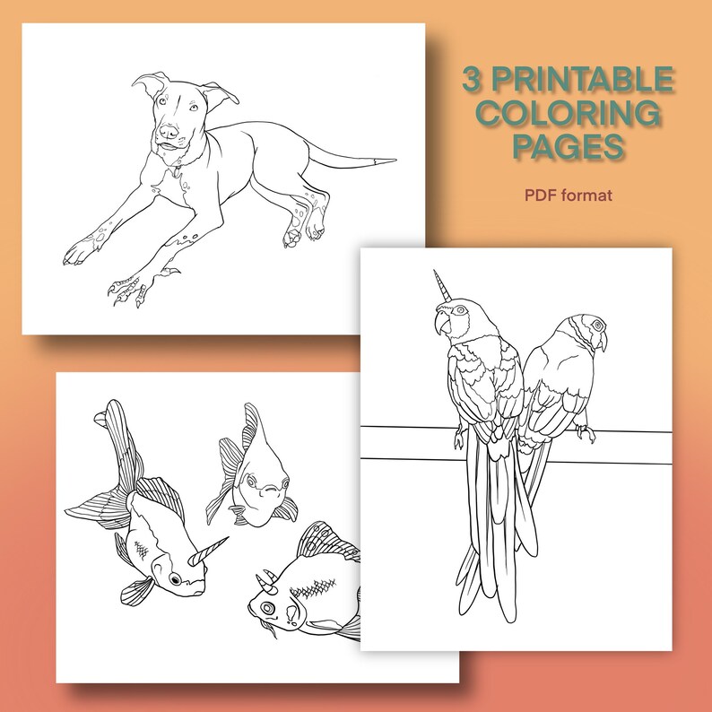 Weird Animals 3 Digital Coloring Pages - Etsy