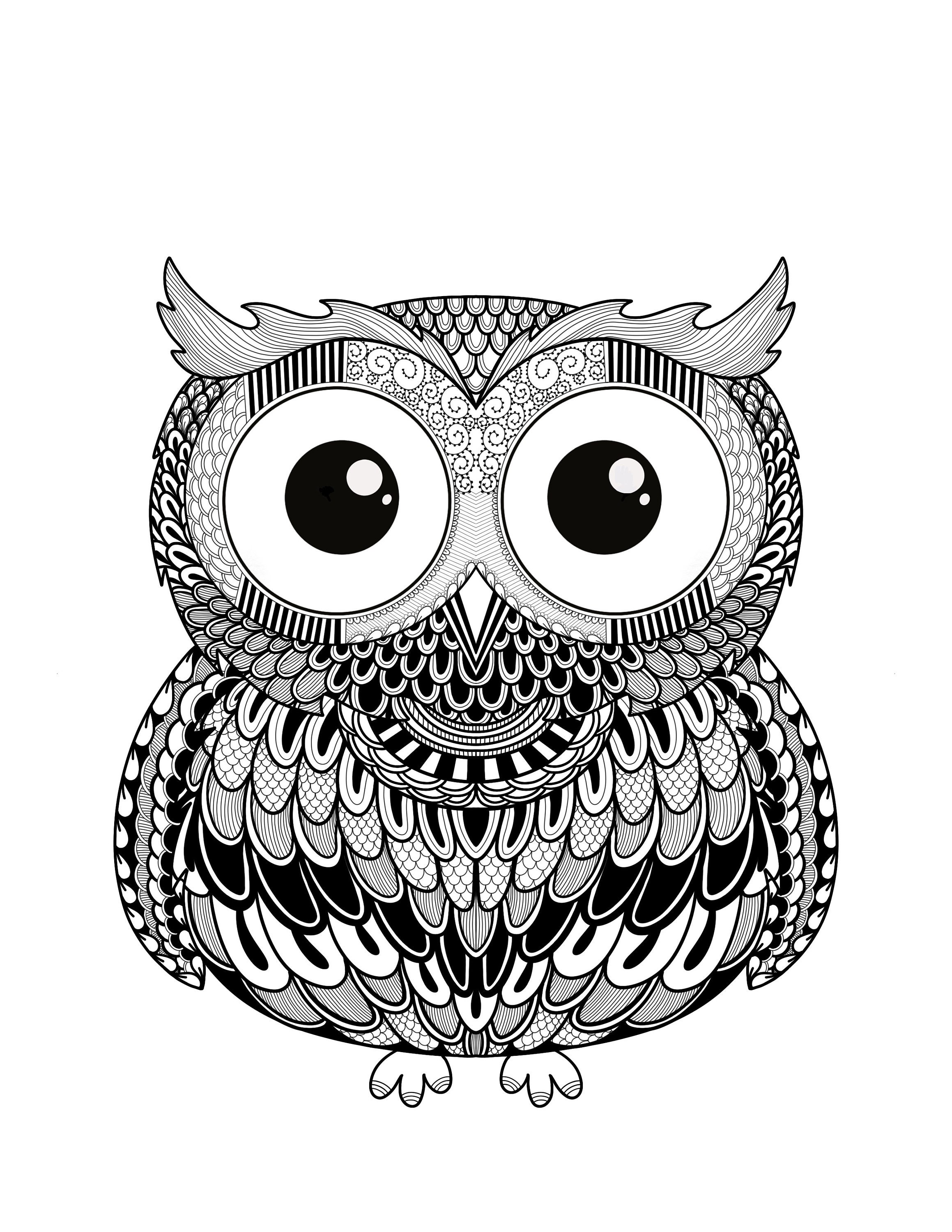 Coloring Books For Teens: Owls: Advanced Coloring Pages for Teenagers,  Tweens, Older Kids, Boys & Girls, Detailed Zendoodle Animal Designs, Crea  (Paperback)