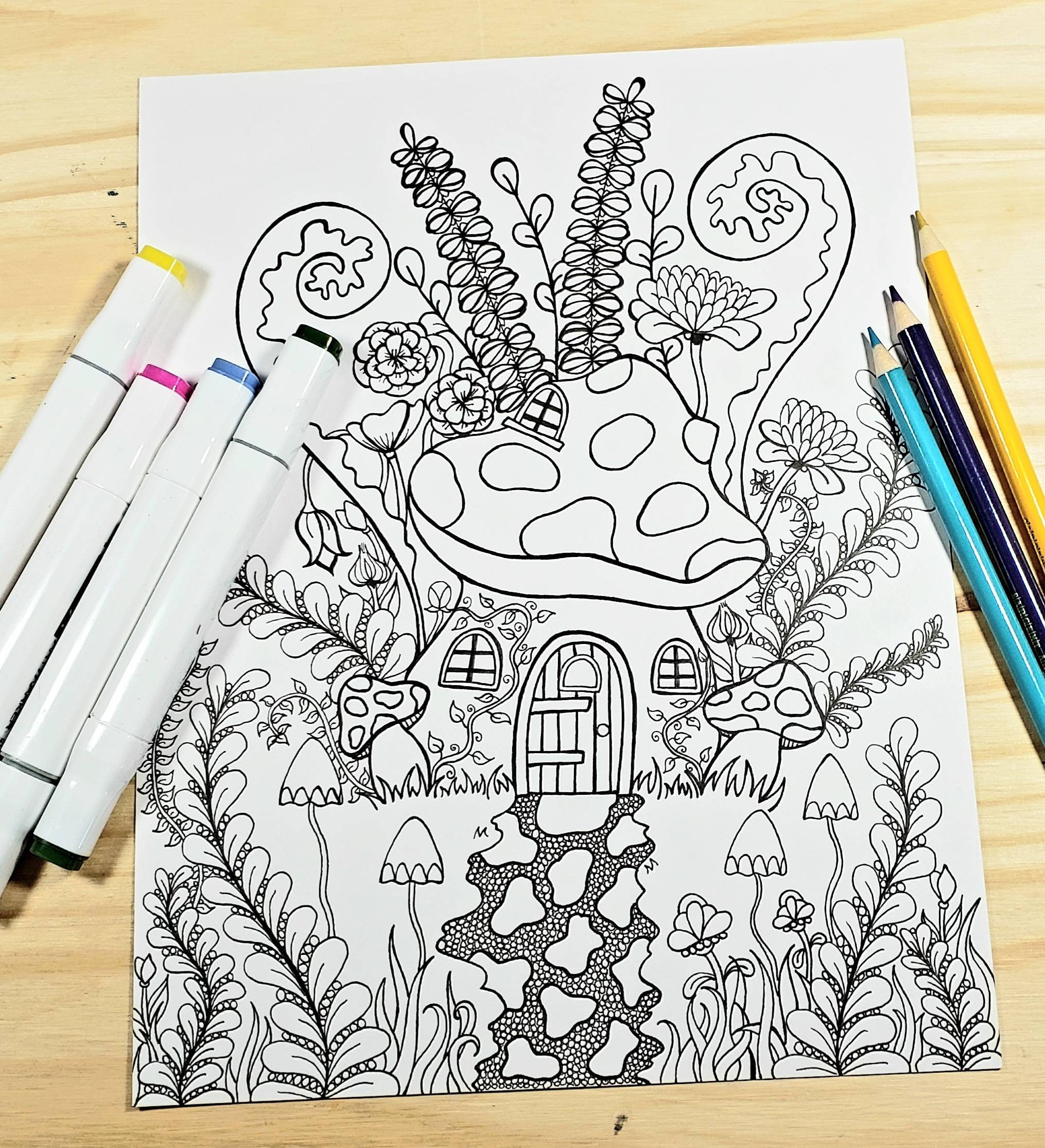  Just Doodle It - Fairy Houses: A Reverse Coloring Book For  Adults to Relax, Get Creative, and Have Fun With (Reverse Coloring Activity  Books for Adults and Kids): 9798390159415: Publishing, Lindenwood