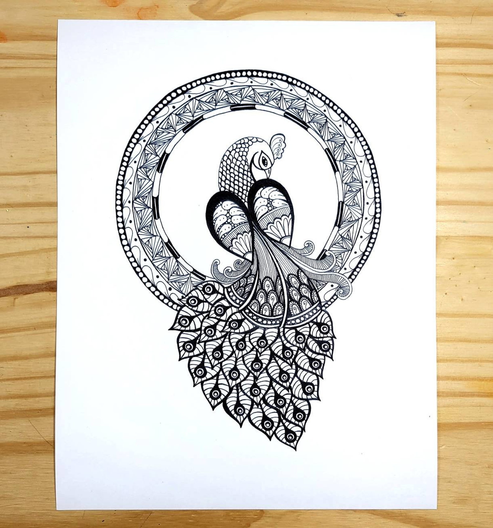 Peacock Mandala Coloring Page for Adults - Etsy