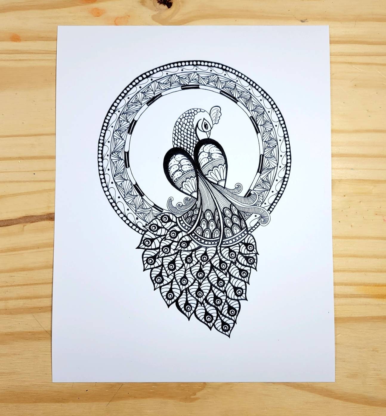 Peacock Mandala Coloring Page for Adults - Etsy