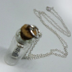 May include: A silver chain necklace with a small glass bottle pendant. The bottle is clear and has a cork stopper. The bottle contains a small silver charm with the word "BUDDY" inscribed on it.