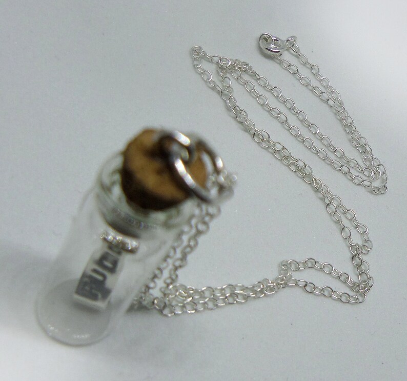 May include: A silver chain necklace with a small glass bottle pendant. The bottle is clear and has a cork stopper. The bottle contains a small silver charm with the word "BUDDY" inscribed on it.