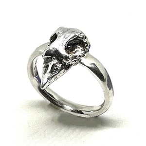 Könnte beinhalten: Ein silberner Ring mit einem detaillierten Vogelschädel-Design. Der Schädel ist nach vorne gerichtet und der Ring ist aus glattem, poliertem Metall.