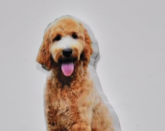 Custom Pet Photo Fridge Magnets: Personalized Dog or Cat Cutout (Set of 2)