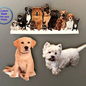 Imanes de nevera 3D personalizados de 3" x 4" con foto personalizada. Recorte de imán de su perro, gato o mascota en cartón duro. Regalo minimalista con foto para nevera.