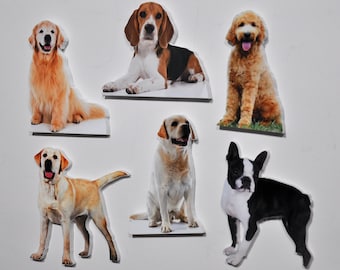 Personalized Pet Photo Fridge Magnets: Custom Dog or Cat Cutouts (Set of 2)