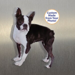 May include: A black and white Boston Terrier dog standing on a silver background. The dog is looking at the camera. The text "Custom Made from Your Photo!" is in a circle above the dog.