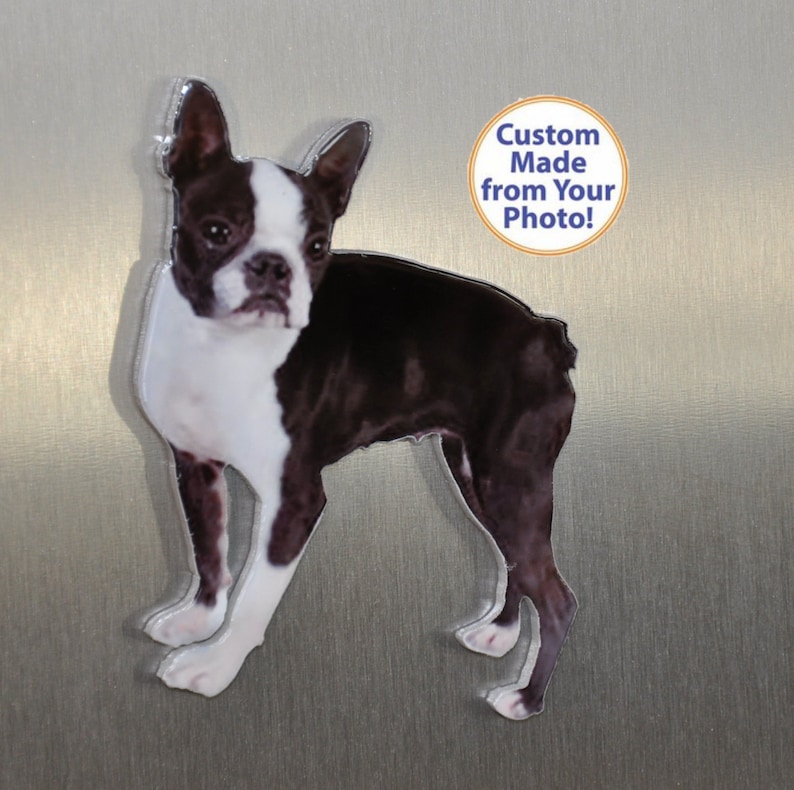 May include: A black and white Boston Terrier dog standing on a silver background. The dog is looking at the camera. The text "Custom Made from Your Photo!" is in a circle above the dog.